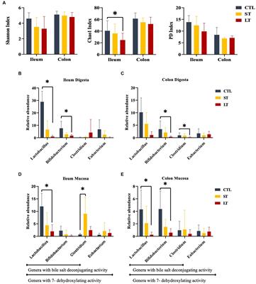 Prophylactic feeding of neomycin to Holstein calves alters gut microbiota, bile acid metabolism, and expression of genes involved in immunometabolic regulation